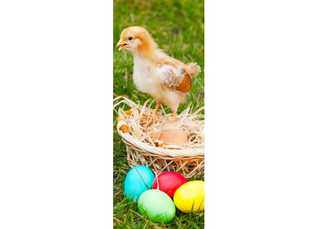 Наклейка на дверь Маленький цыпленок с цветными пасхальными яйца